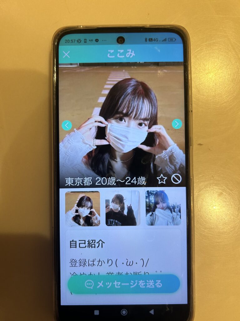 ここみのプロフィール